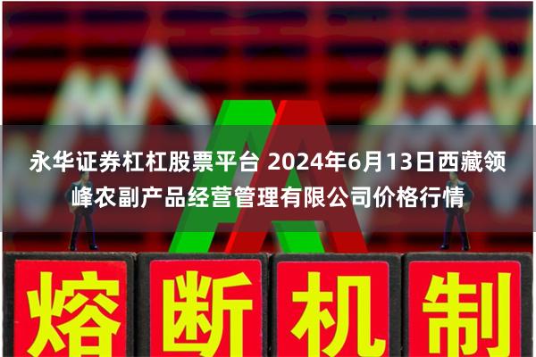 永华证券杠杠股票平台 2024年6月13日西藏领峰农副产品经营管理有限公司价格行情
