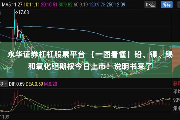 永华证券杠杠股票平台 【一图看懂】铅、镍、锡和氧化铝期权今日上市！说明书来了