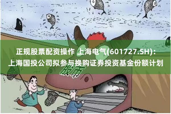 正规股票配资操作 上海电气(601727.SH)：上海国投公司拟参与换购证券投资基金份额计划
